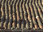 Dresden Dachdeckerei