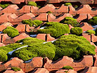 Recklinghausen Dachdeckerei