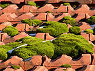 Kostenvoranschlag fr Dacharbeiten in Groenwrden