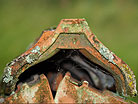 Dachdecker Schlanstedt